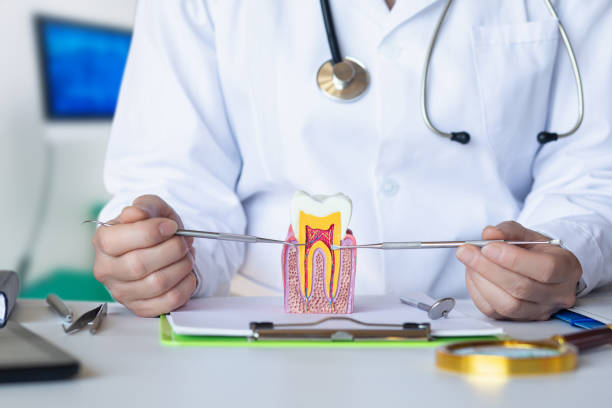 Best Emergency Dental Care for Abscessed Tooth in Brundidge, AL